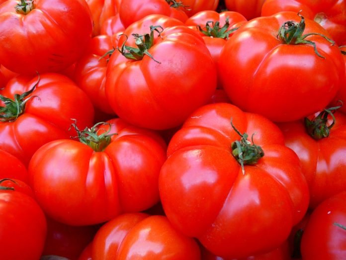¿El tomate es una fruta o una verdura?