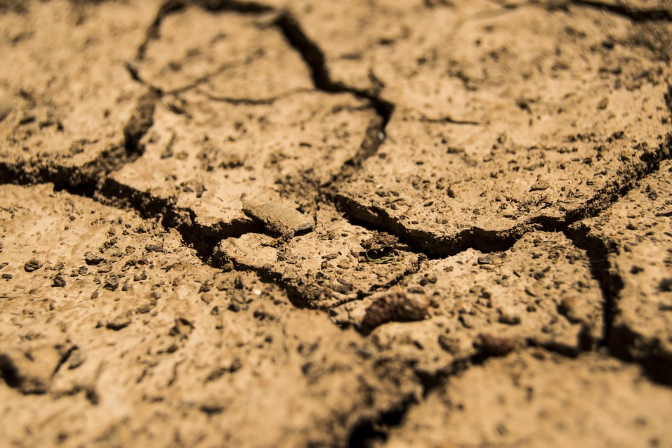 Baño seco, la oportunidad de cambiar la contaminación por el  enriquecimiento del suelo - Infocampo
