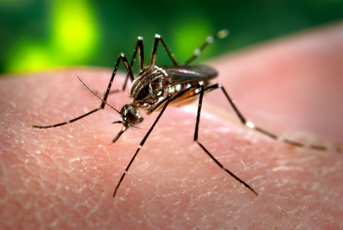 Mosquitos para prevenir accidentes de drones y helicópteros