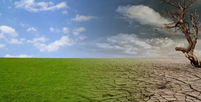 ¿Cómo podemos construir un planeta más equitativo?
