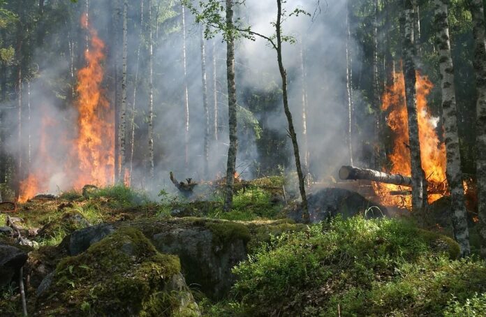 Un simulador contra incendios forestales