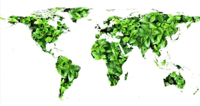La recuperación verde es el camino a seguir