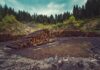 Impacto de la deforestación en las reservas naturales y el clima global