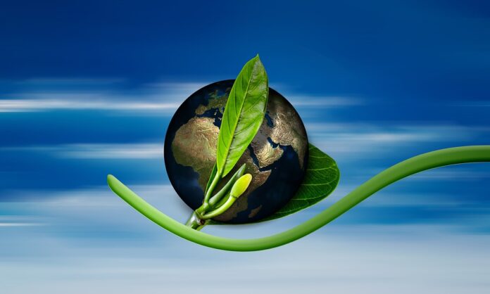 Regenerar la Tierra para salvar el planeta