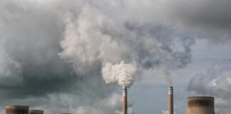 Impacto de los Contaminantes Ambientales en la Salud