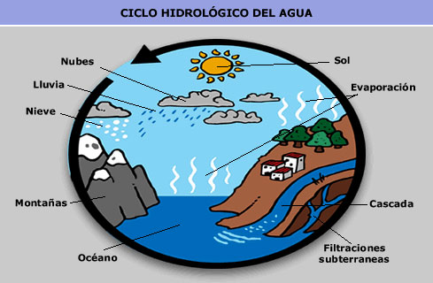 El ciclo hidrológico - Ambientum