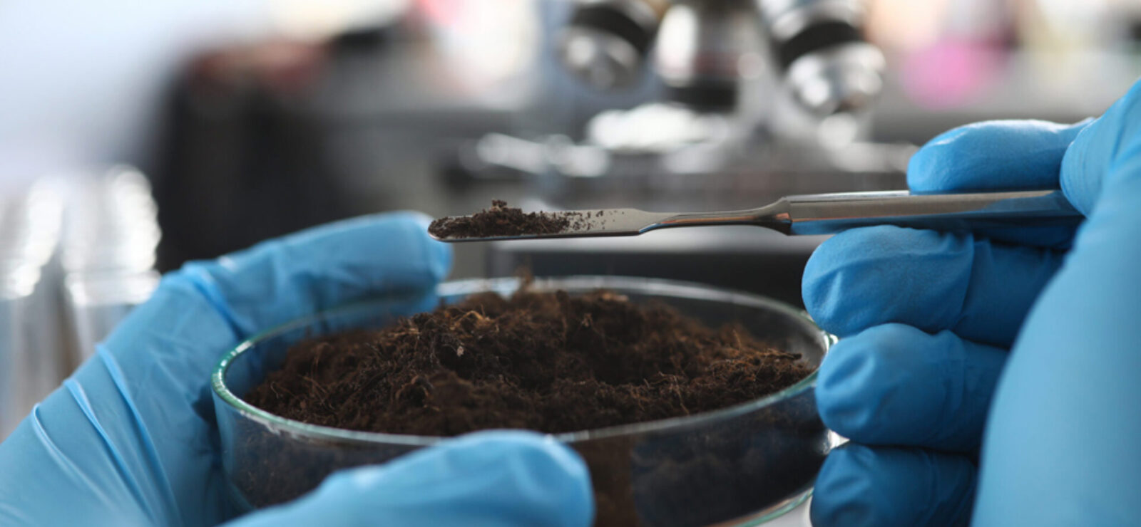 Scientist wearing protective gloves examining ground sample