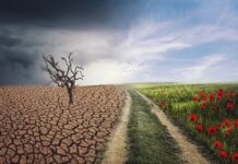 Cambio Climático: Desafíos y Soluciones
