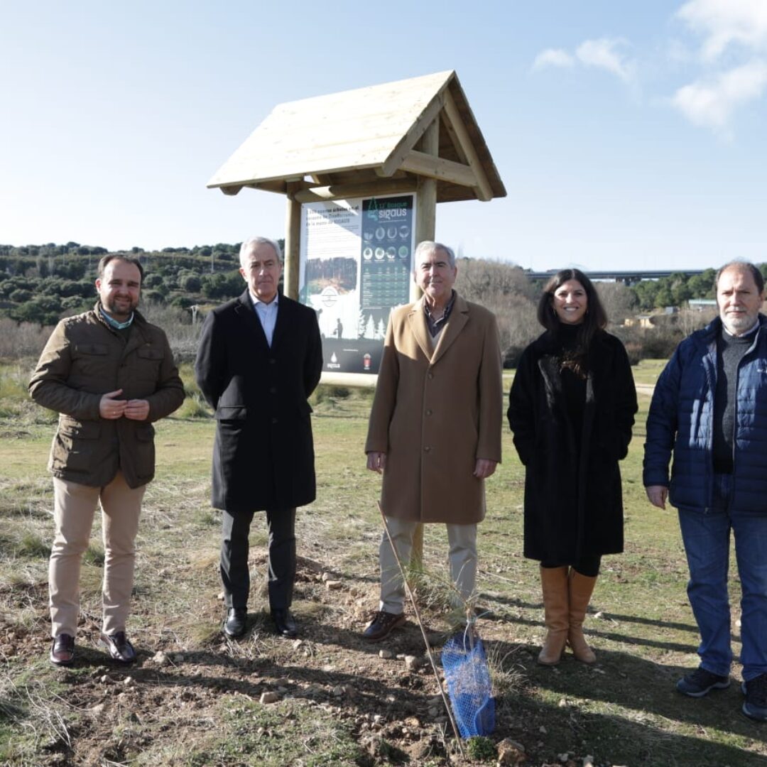 Bosque Guadarrama_5