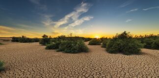 Desafíos y Soluciones en Tiempos de Sequía: Estrategias para una Gestión Sostenible del Agua en España