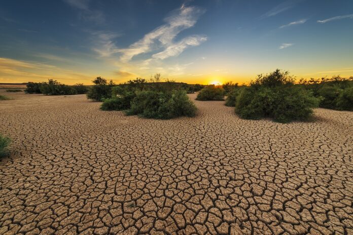 Desafíos y Soluciones en Tiempos de Sequía: Estrategias para una Gestión Sostenible del Agua en España