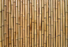 5 Materiales Sostenibles Revolucionando la Construcción Moderna