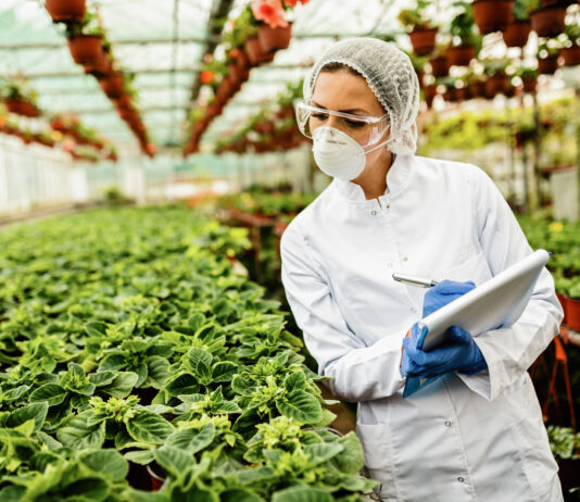 Cómo Implementar Prácticas de Seguridad Alimentaria en su Negocio