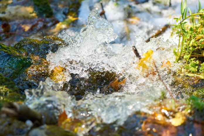 El fascinante ciclo del agua