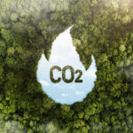 Impacto de la Reducción de la Huella de Carbono en el Medio Ambiente