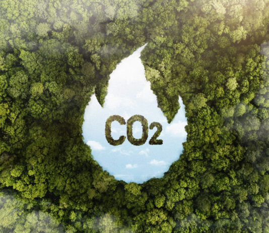 Impacto de la Reducción de la Huella de Carbono en el Medio Ambiente