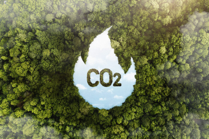 Impacto de la Reducción de la Huella de Carbono en el Medio Ambiente