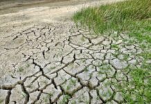 Efectos del cambio climático