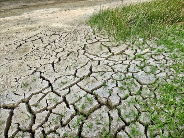 Efectos del cambio climático