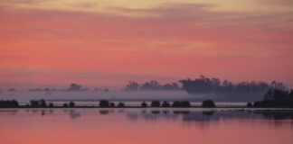 Las reservas naturales más impresionantes de España