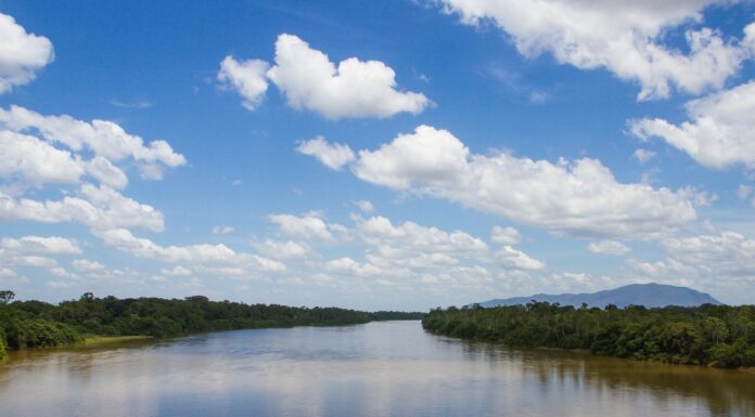 Maravillas naturales: Un recorrido por los ríos más grandes del mundo