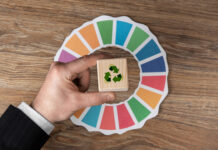 Las 7 R de la economía circular: El camino hacia la sostenibilidad
