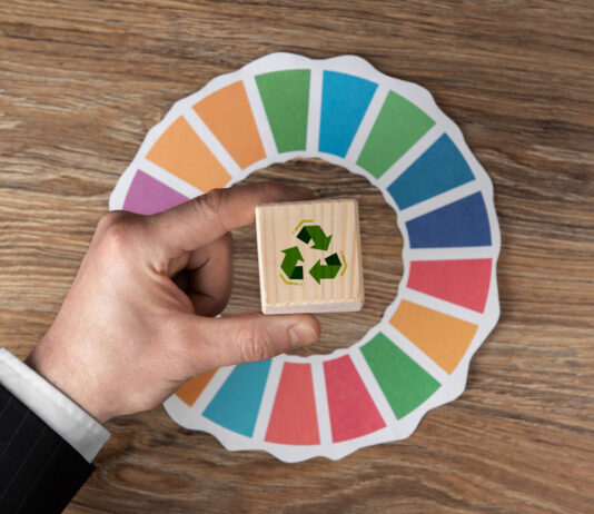 Las 7 R de la economía circular: El camino hacia la sostenibilidad
