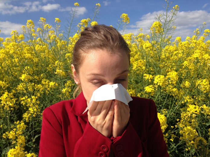 Consejos para evitar alergias