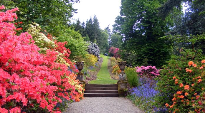 Jardines bioclimáticos