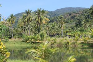 Amazonas. Turismo de naturaleza