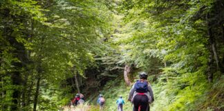 Suelos de montaña. Proyecto SOLPYR NEIKER