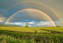 El arco iris