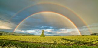 El arco iris