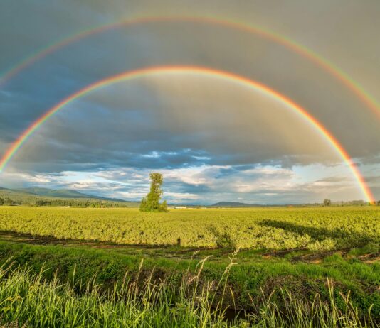 El arco iris