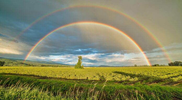 El arco iris