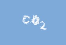Dióxido de carbono, de la vida al cambio climático