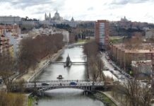 El río Manzanares recupera fauna y flora