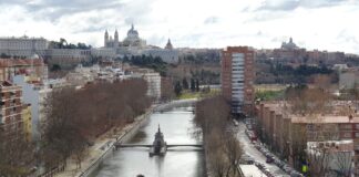 El río Manzanares recupera fauna y flora