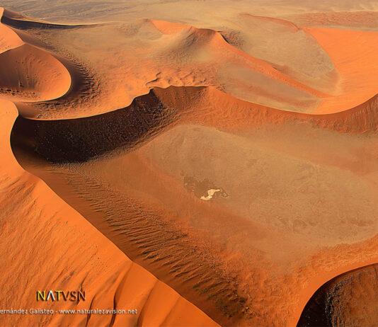 DÍA MUNDIAL DE LUCHA CONTRA LA DESERTIFICACIÓN Y LA SEQUÍA