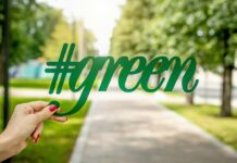 Estrategias efectivas para medir y disminuir la huella ambiental de las empresas