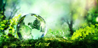 PLANETA VERDE