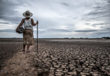 Impacto del cambio climático en los patrones de precipitación