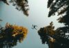 Drones - Tecnología punta contra el cambio climático y la degradación ambiental