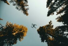 Drones - Tecnología punta contra el cambio climático y la degradación ambiental