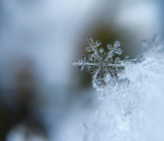 Los secretos de la nieve