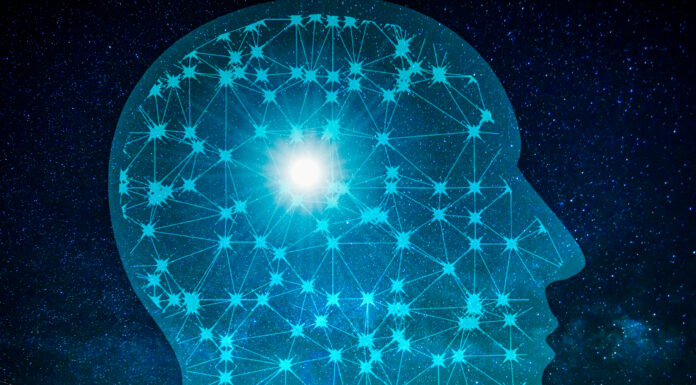 Sustancia blanca del cerebro