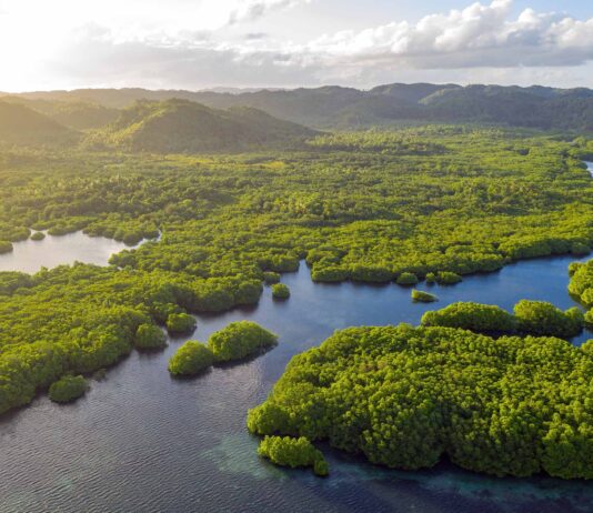 Selva Amazónica en Brasil