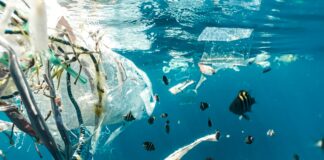 Microplásticos: amenaza silenciosa en nuestros océanos y suelos
