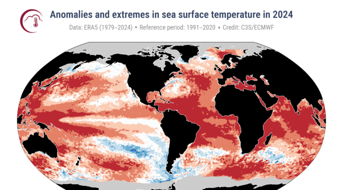 Anomalías y extremos de la temperatura superficial del mar en 2024, el año más caluroso