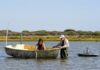Doñana registra un mínimo histórico de aves acuáticas